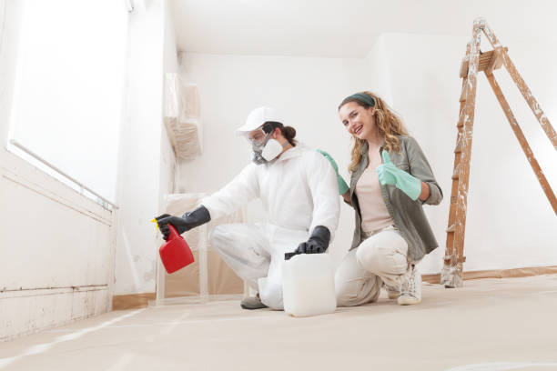 Best Indoor Air Quality Assessment  in Owingsville, KY
